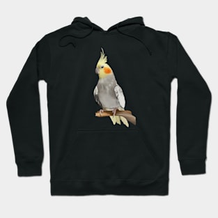 Cute Cockatiel Parrot Hoodie